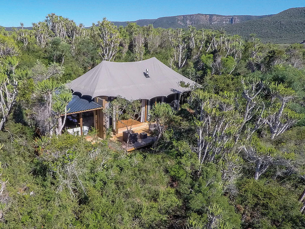 Kariega Game Reserve Settlers Drift Alexandria  Exterior foto