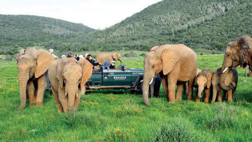 Kariega Game Reserve Settlers Drift Alexandria  Exterior foto