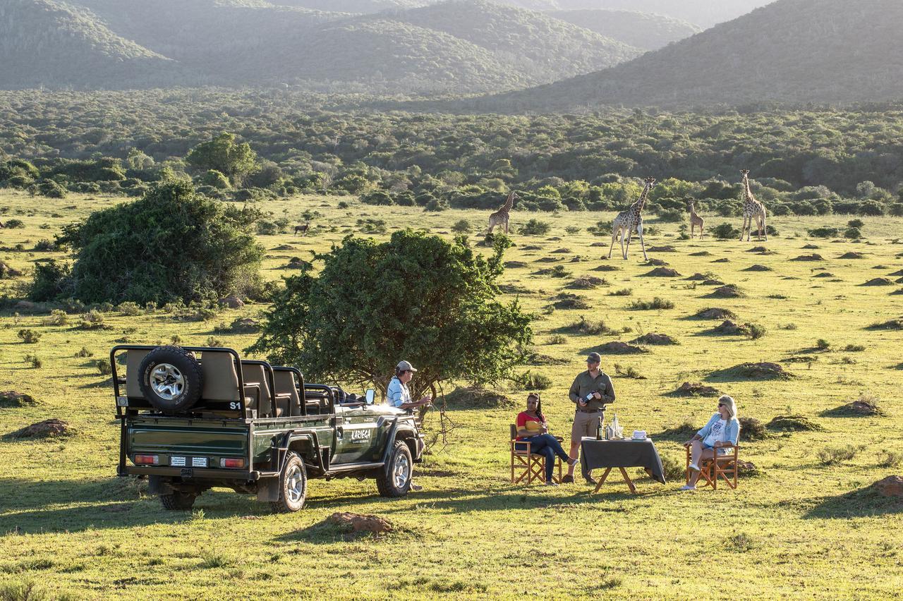 Kariega Game Reserve Settlers Drift Alexandria  Exterior foto