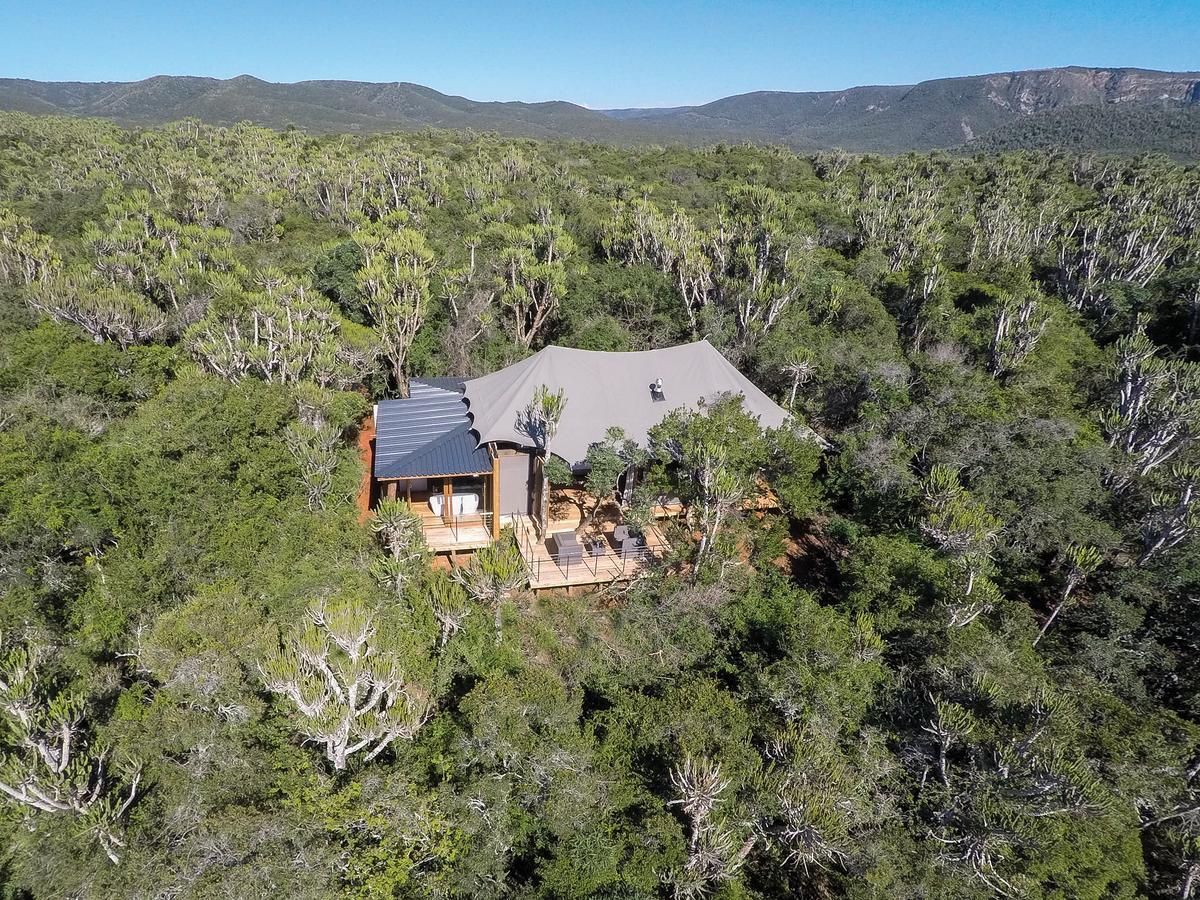 Kariega Game Reserve Settlers Drift Alexandria  Exterior foto